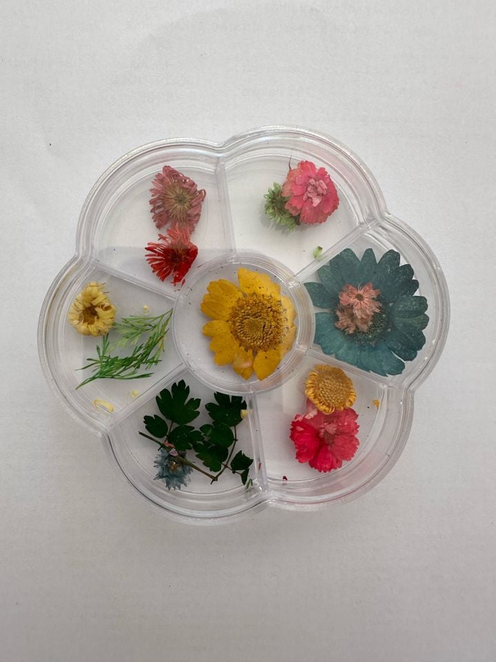 Kuru Çiçek Tırnak Süs T243