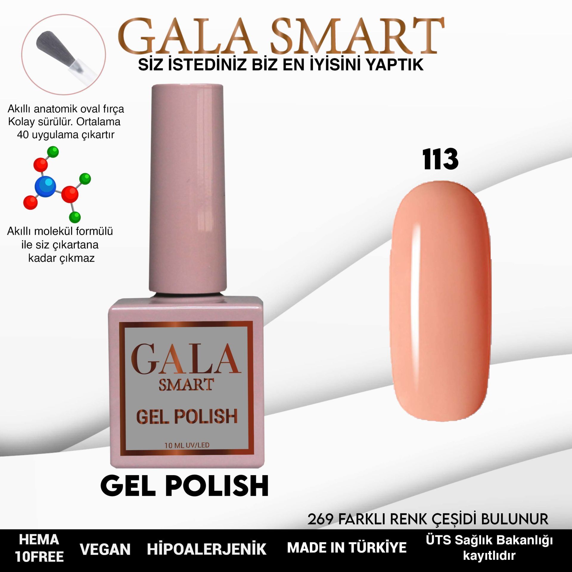 GALA CLASSİC KALICI OJE 10 mle 113